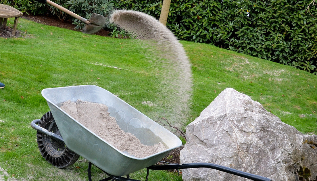 Rasen sanden Anleitung, Tipps & der richtige Sand für deinen Garten