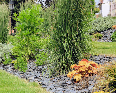 Kundenideen – kreative Gartengestaltung zum Nachmachen