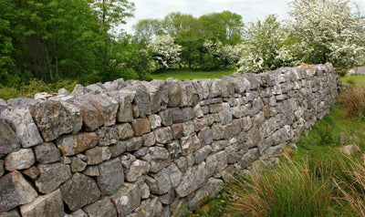 Trockenmauer mit Natursteinen anlegen – Schritt für Schritt zur Natursteinmauer im Garten