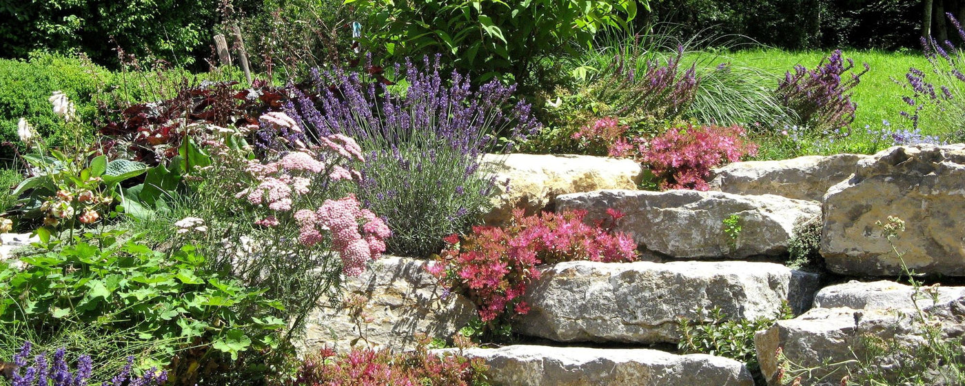 Naturnaher Steingarten mit grauen und hellen Natursteinen, blühenden Polsterpflanzen und Zierkies – zeigt, wie sich ein ökologischer Steingarten nachhaltig und pflegeleicht gestalten lässt.