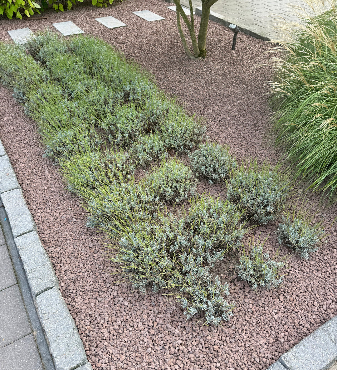 Lavamulch rot-braun