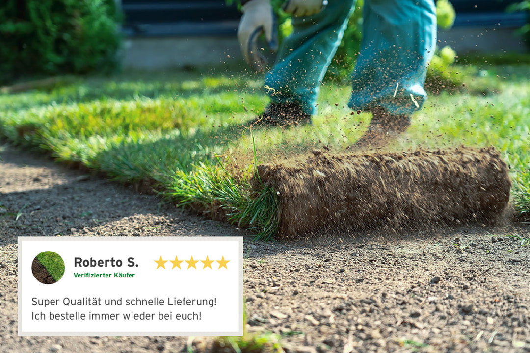 Rasenerde kaufen | für sattes Grün