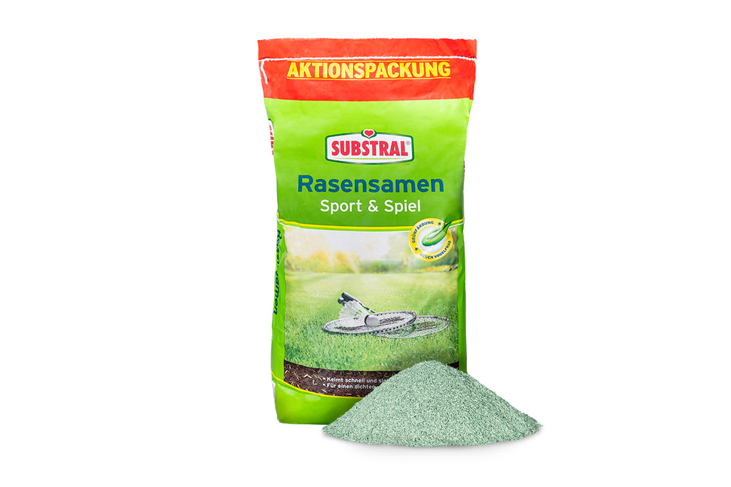 Rasensamen